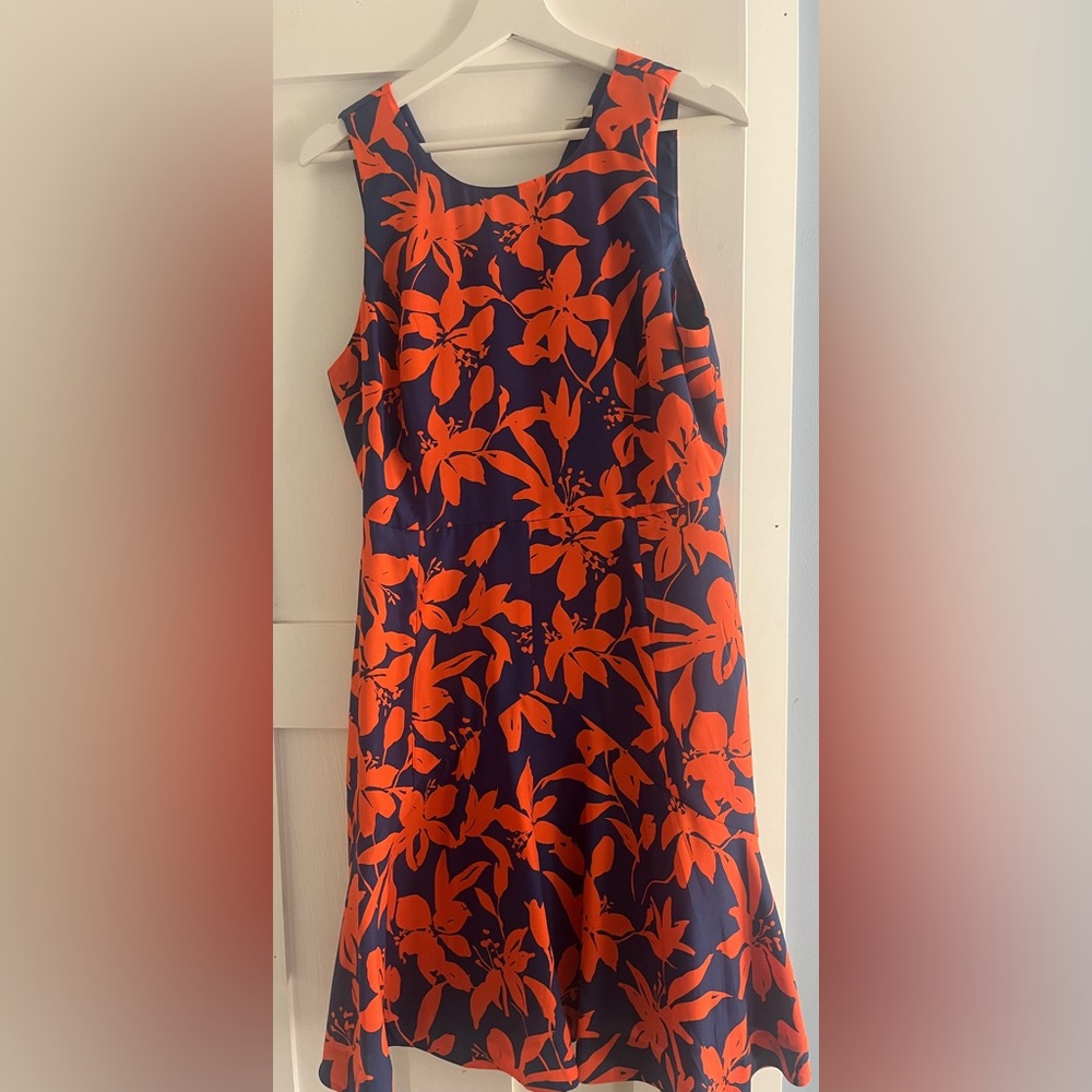J Crew Dress